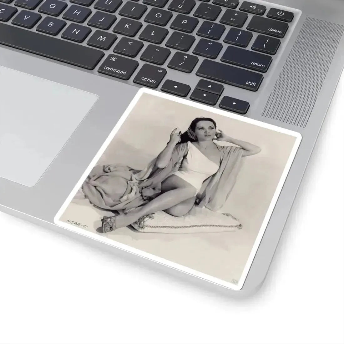 Debra Paget #67 1 (Vintage Female Icon) STICKER Vinyl Kiss-Cut Decal - The Sticker Space