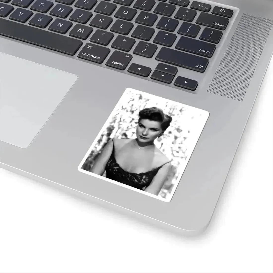 Debra Paget #682 (Vintage Female Icon) STICKER Vinyl Kiss-Cut Decal - The Sticker Space