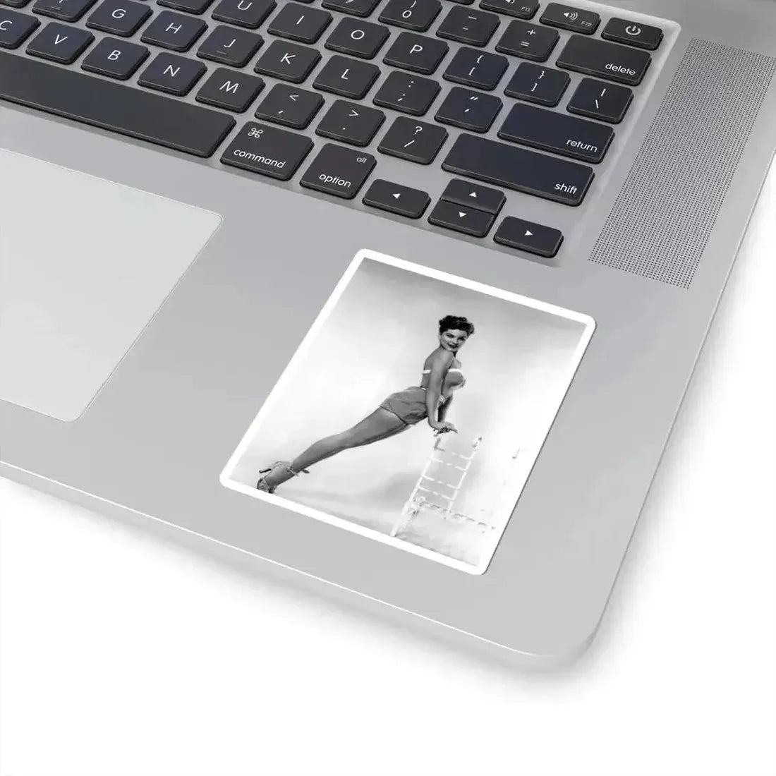 Debra Paget #685 (Vintage Female Icon) STICKER Vinyl Kiss-Cut Decal - The Sticker Space