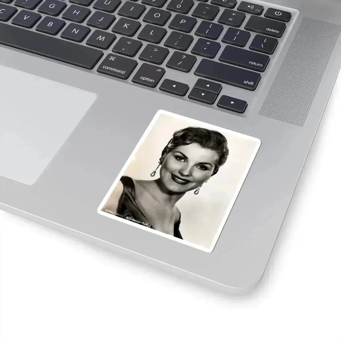 Debra Paget #688 (Vintage Female Icon) STICKER Vinyl Kiss-Cut Decal - The Sticker Space