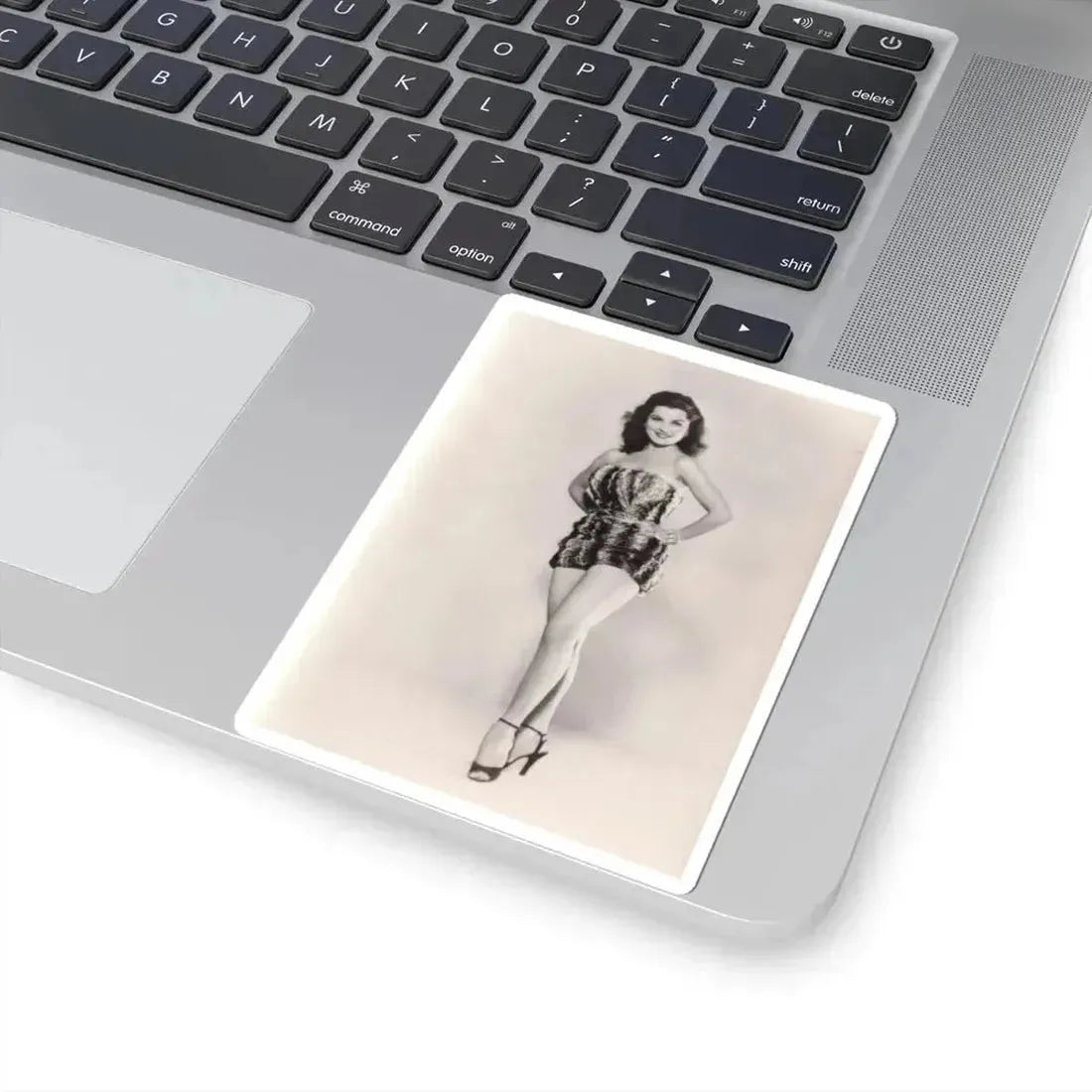 Debra Paget #693 (Vintage Female Icon) STICKER Vinyl Kiss-Cut Decal - The Sticker Space