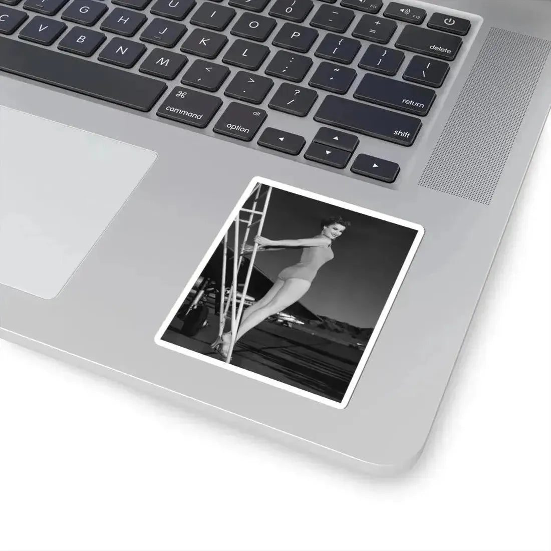 Debra Paget #699 (Vintage Female Icon) STICKER Vinyl Kiss-Cut Decal - The Sticker Space