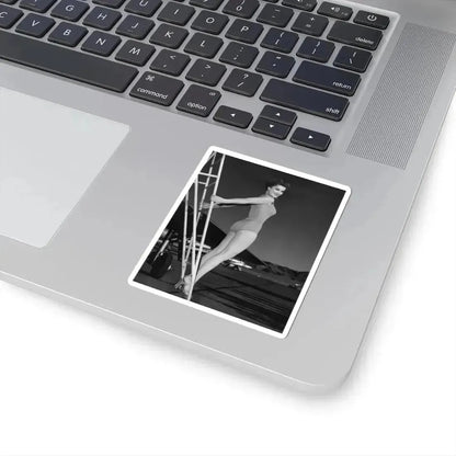 Debra Paget #699 (Vintage Female Icon) STICKER Vinyl Kiss-Cut Decal - The Sticker Space