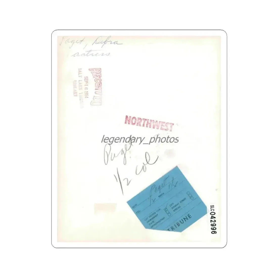 Debra Paget #701 (Vintage Female Icon) STICKER Vinyl Kiss-Cut Decal 3 Inch White - The Sticker Space