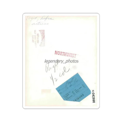 Debra Paget #701 (Vintage Female Icon) STICKER Vinyl Kiss-Cut Decal 3 Inch White - The Sticker Space