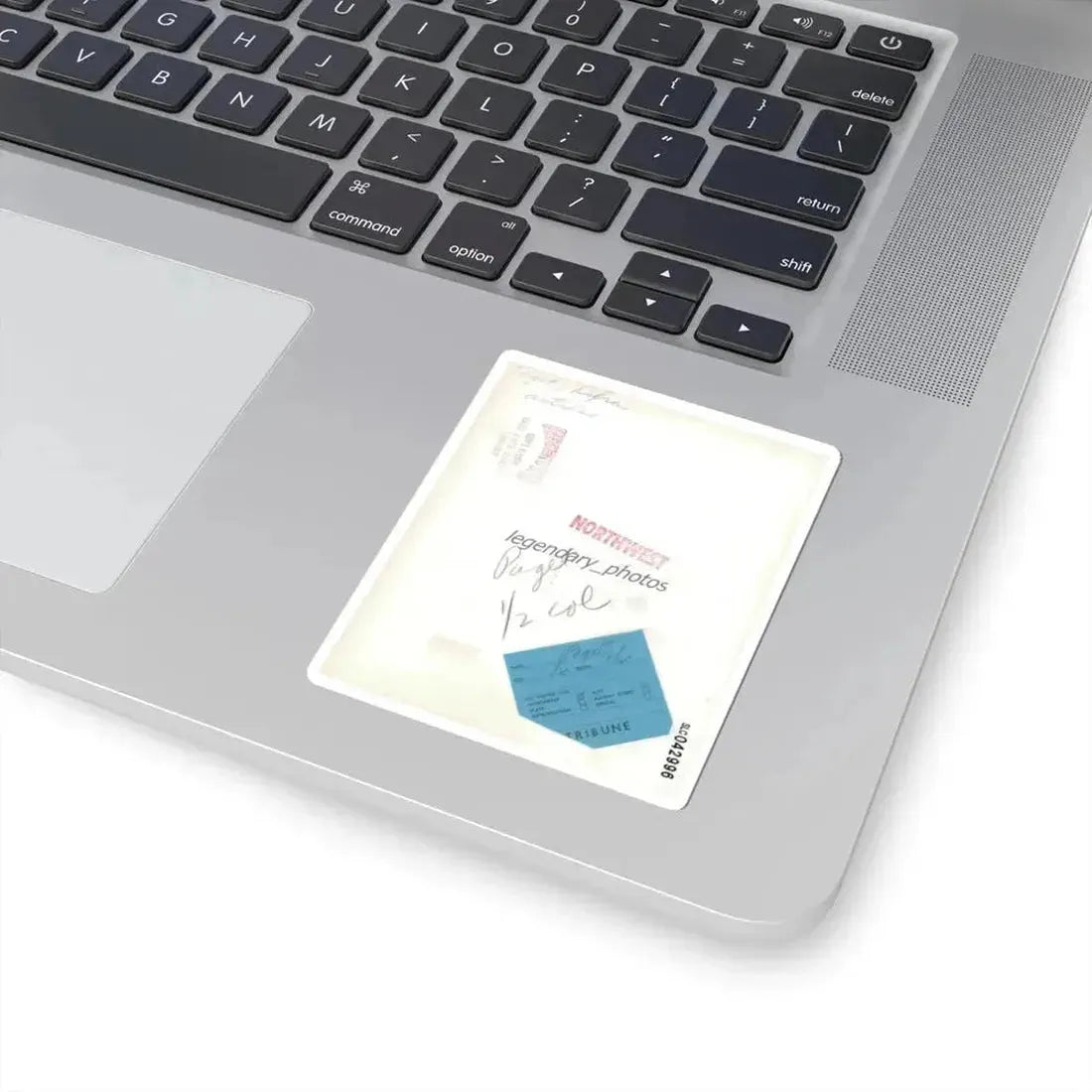 Debra Paget #701 (Vintage Female Icon) STICKER Vinyl Kiss-Cut Decal - The Sticker Space