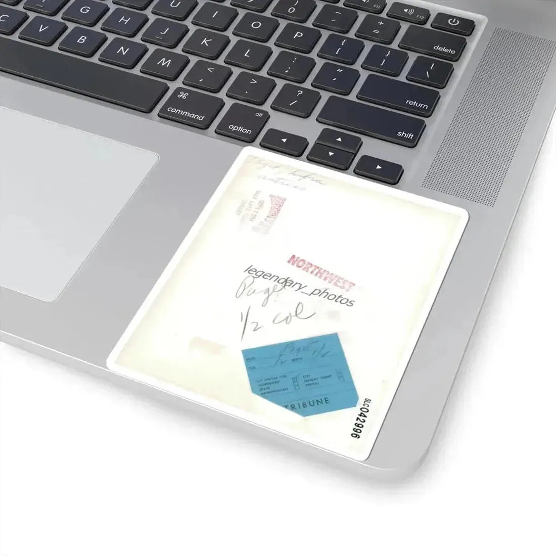 Debra Paget #701 (Vintage Female Icon) STICKER Vinyl Kiss-Cut Decal - The Sticker Space