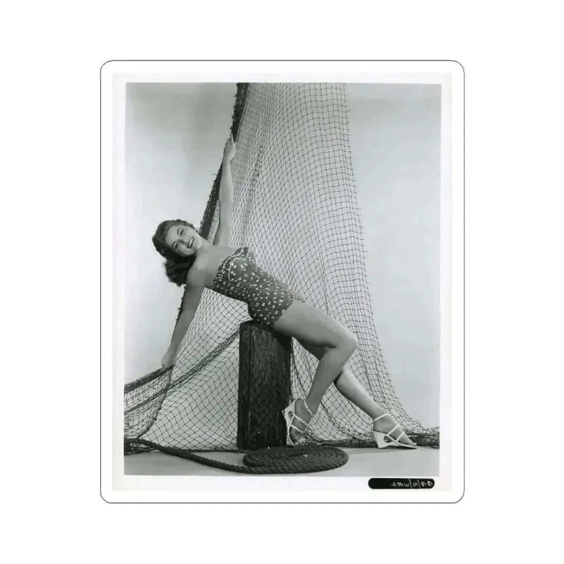 Debra Paget #704 (Vintage Female Icon) STICKER Vinyl Kiss-Cut Decal 4 Inch White - The Sticker Space