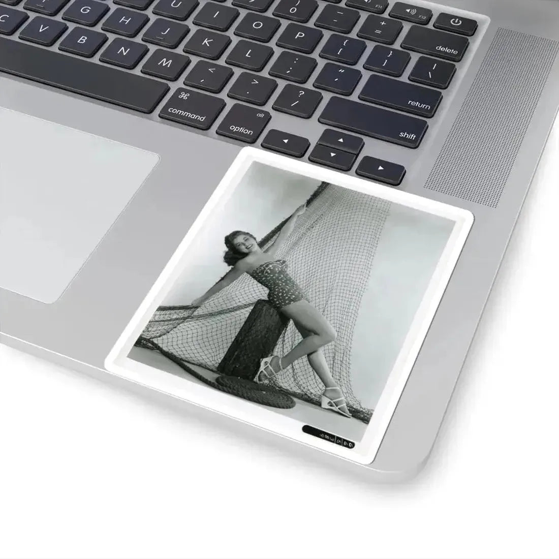 Debra Paget #704 (Vintage Female Icon) STICKER Vinyl Kiss-Cut Decal - The Sticker Space