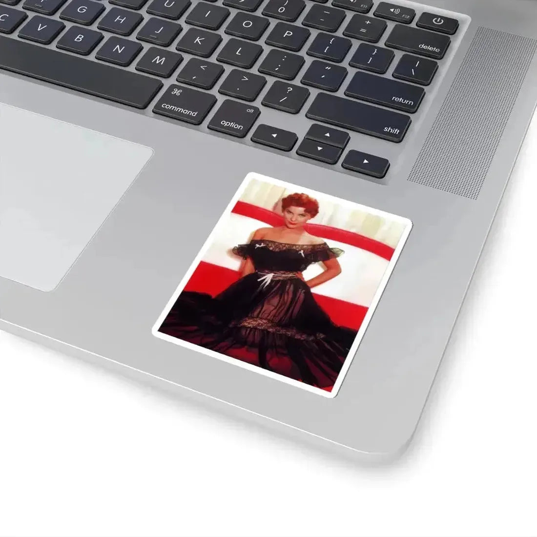 Debra Paget #719 (Vintage Female Icon) STICKER Vinyl Kiss-Cut Decal - The Sticker Space