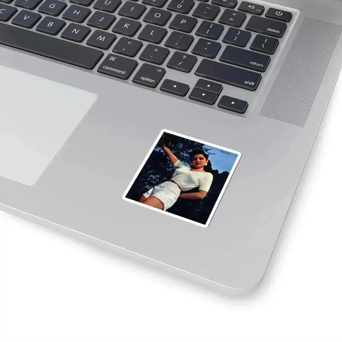 Debra Paget #72 (Vintage Female Icon) STICKER Vinyl Kiss-Cut Decal - The Sticker Space