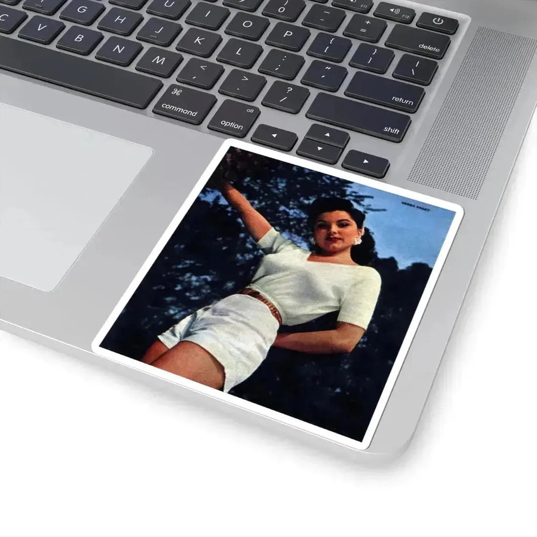 Debra Paget #72 (Vintage Female Icon) STICKER Vinyl Kiss-Cut Decal - The Sticker Space