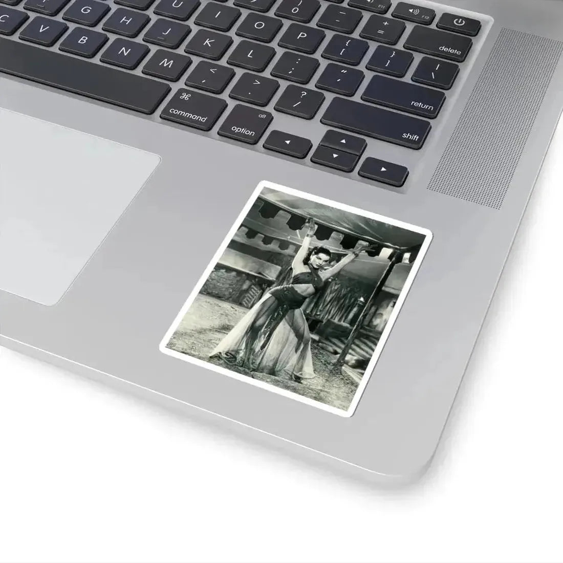 Debra Paget #720 (Vintage Female Icon) STICKER Vinyl Kiss-Cut Decal - The Sticker Space