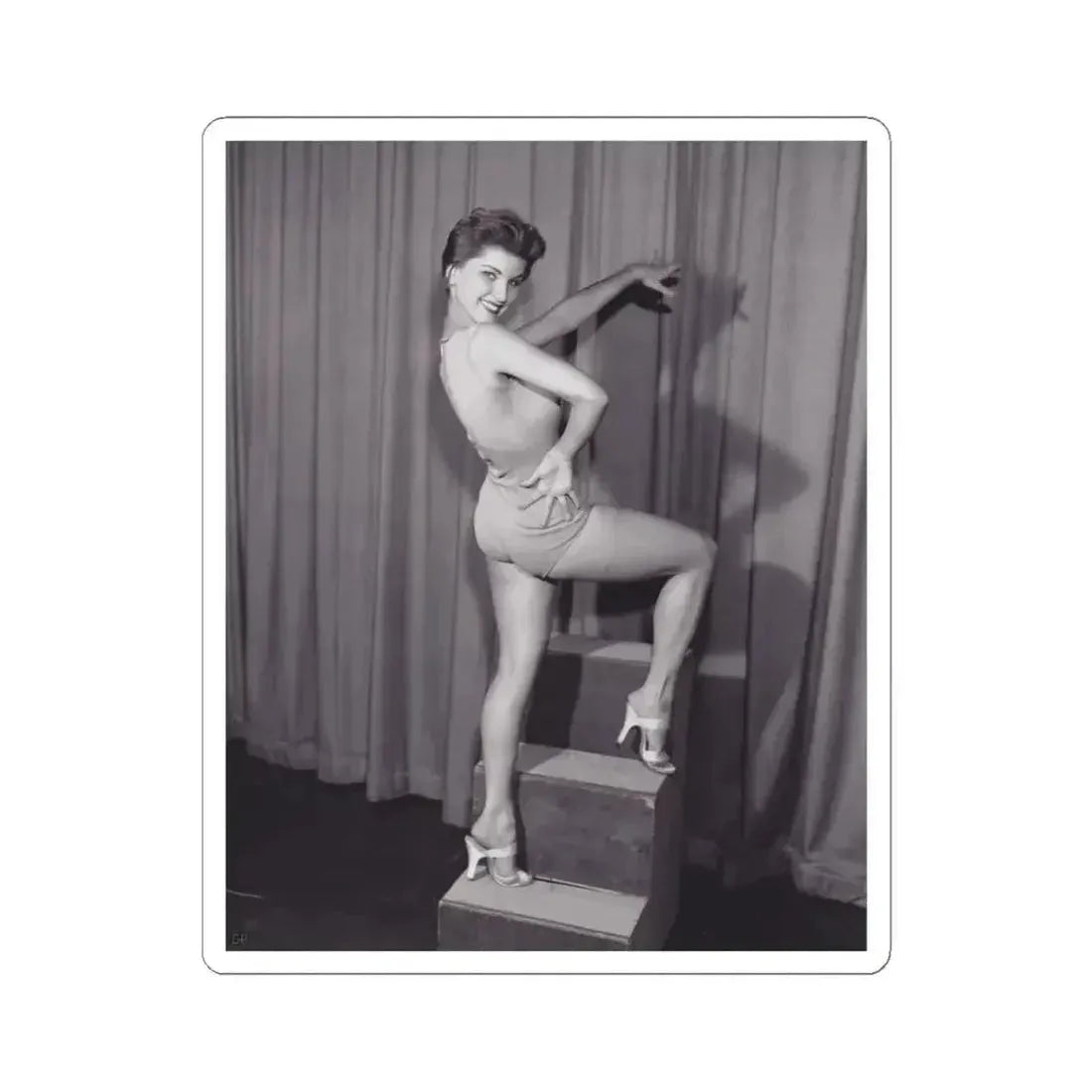 Debra Paget #723 (Vintage Female Icon) STICKER Vinyl Kiss-Cut Decal - The Sticker Space