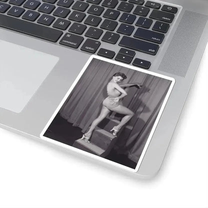 Debra Paget #723 (Vintage Female Icon) STICKER Vinyl Kiss-Cut Decal - The Sticker Space