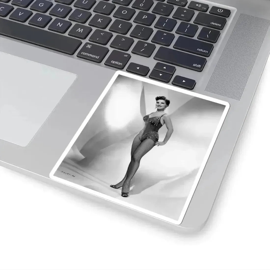 Debra Paget #725 (Vintage Female Icon) STICKER Vinyl Kiss-Cut Decal - The Sticker Space