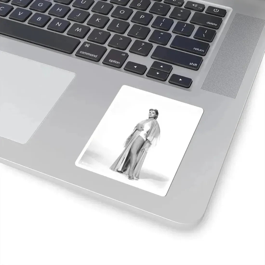 Debra Paget #726 (Vintage Female Icon) STICKER Vinyl Kiss-Cut Decal - The Sticker Space