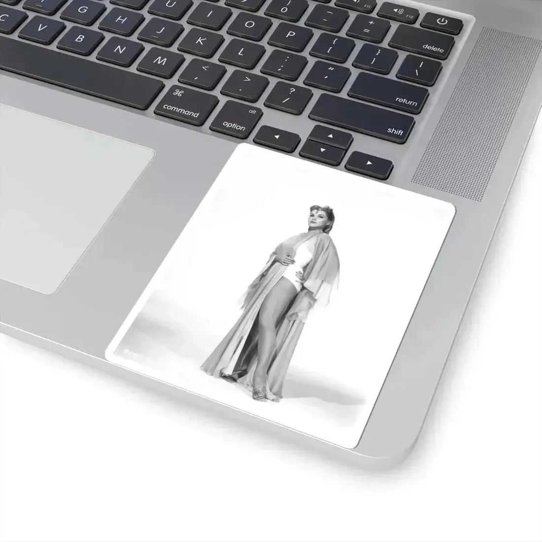 Debra Paget #726 (Vintage Female Icon) STICKER Vinyl Kiss-Cut Decal - The Sticker Space