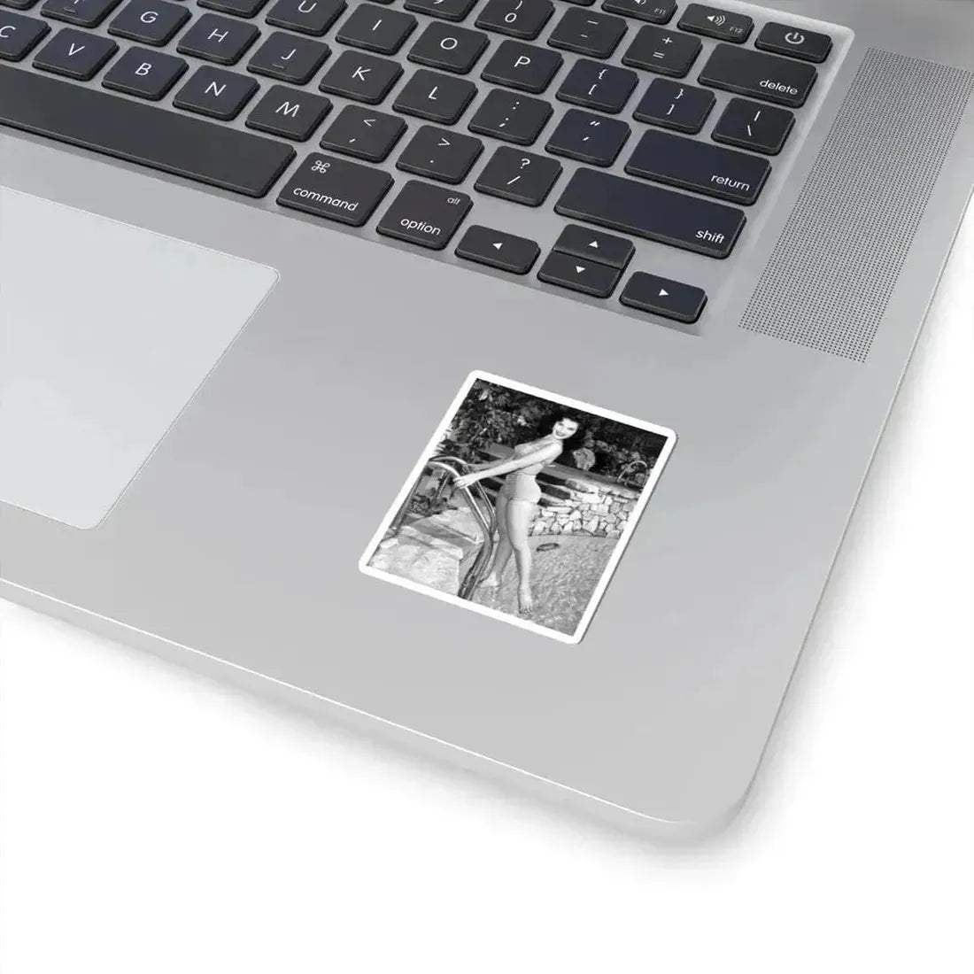 Debra Paget #732 (Vintage Female Icon) STICKER Vinyl Kiss-Cut Decal - The Sticker Space