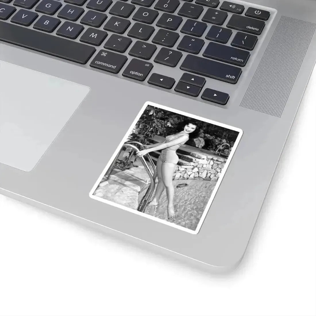 Debra Paget #732 (Vintage Female Icon) STICKER Vinyl Kiss-Cut Decal - The Sticker Space