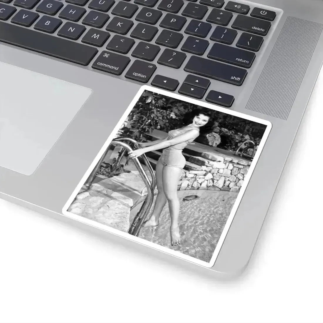 Debra Paget #732 (Vintage Female Icon) STICKER Vinyl Kiss-Cut Decal - The Sticker Space