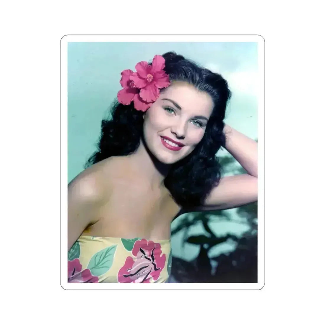 Debra Paget #733 (Vintage Female Icon) STICKER Vinyl Kiss-Cut Decal 6 Inch White - The Sticker Space