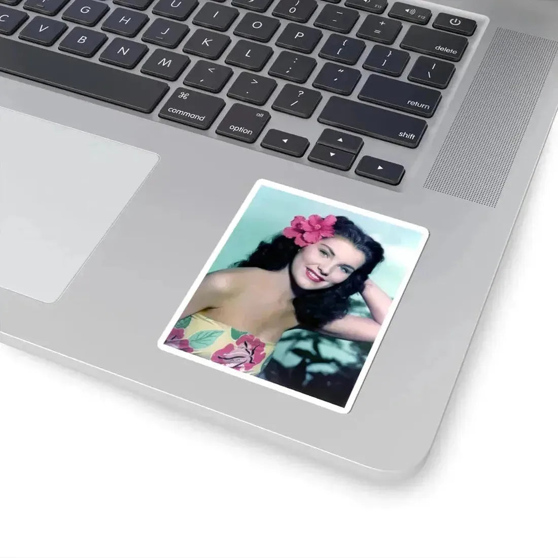 Debra Paget #733 (Vintage Female Icon) STICKER Vinyl Kiss-Cut Decal - The Sticker Space