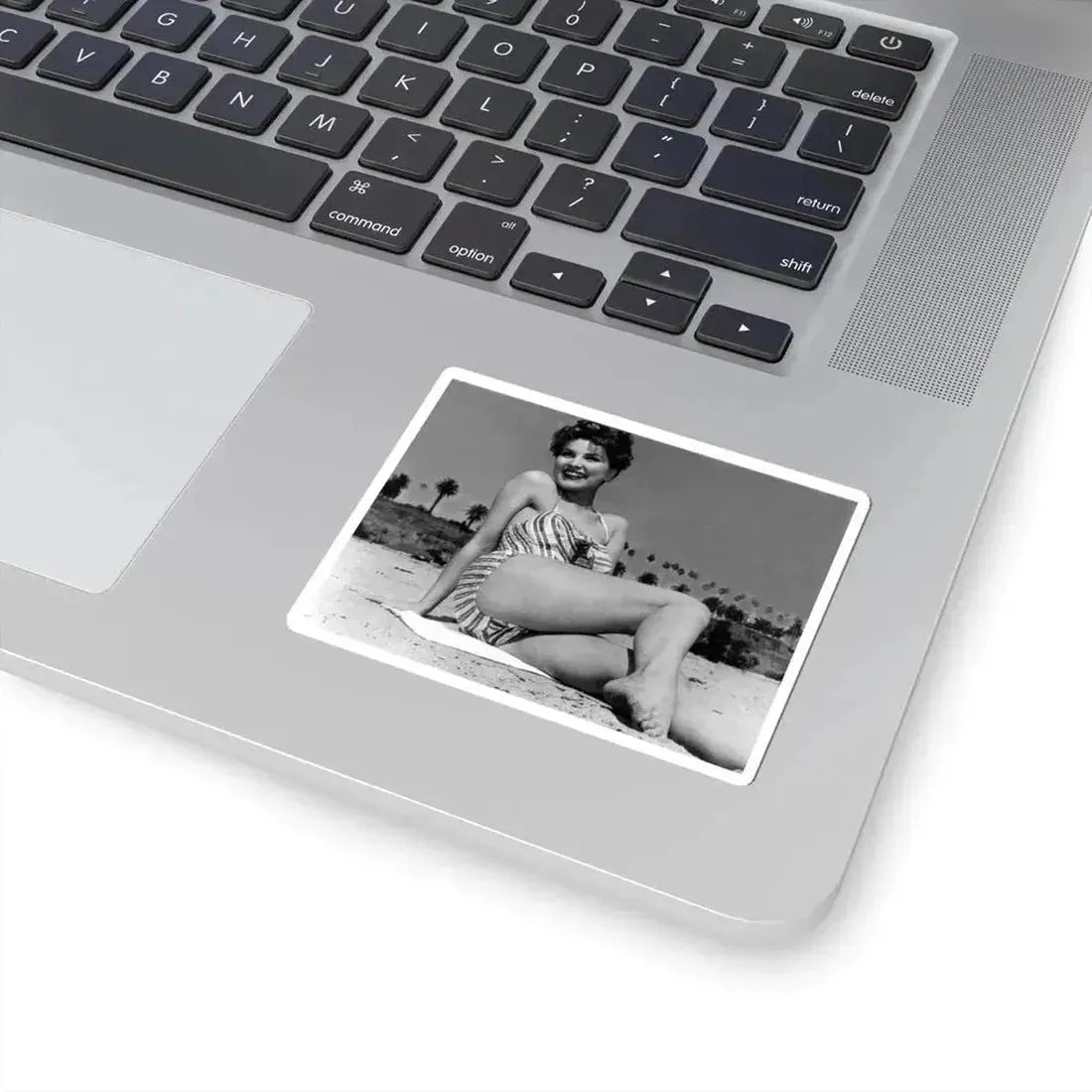 Debra Paget #747 (Vintage Female Icon) STICKER Vinyl Kiss-Cut Decal - The Sticker Space