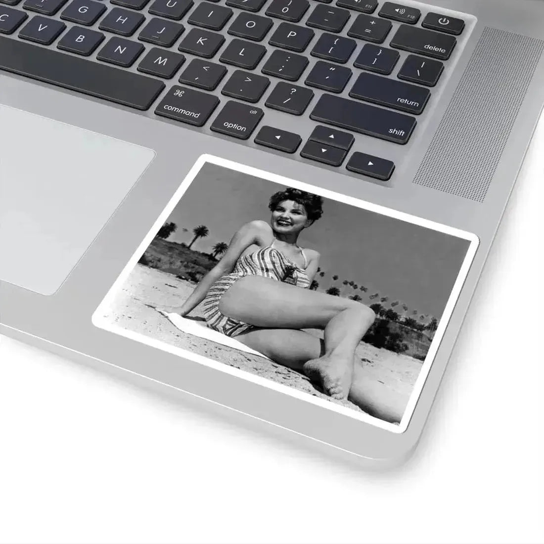 Debra Paget #747 (Vintage Female Icon) STICKER Vinyl Kiss-Cut Decal - The Sticker Space