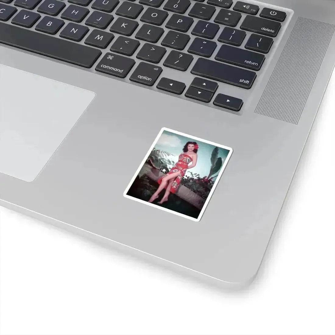 Debra Paget #760 - Bird Of Paradise (Vintage Female Icon) STICKER Vinyl Kiss-Cut Decal - The Sticker Space