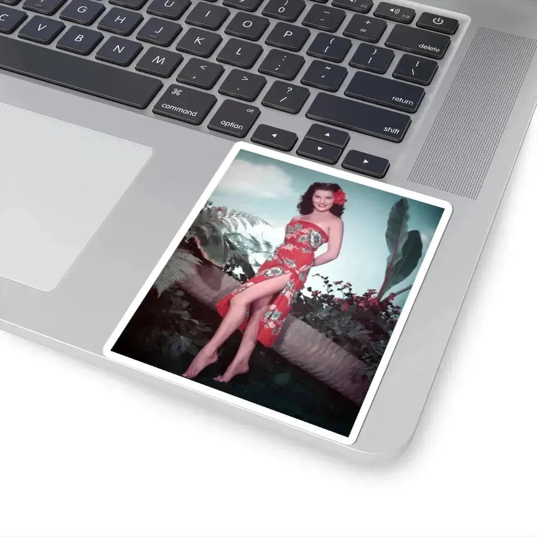 Debra Paget #760 - Bird Of Paradise (Vintage Female Icon) STICKER Vinyl Kiss-Cut Decal - The Sticker Space