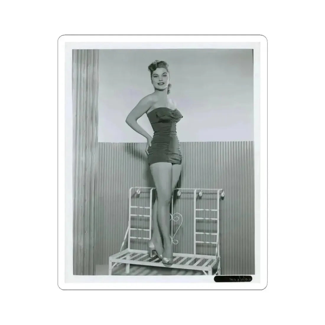 Debra Paget #766 (Vintage Female Icon) STICKER Vinyl Kiss-Cut Decal 3 Inch White - The Sticker Space