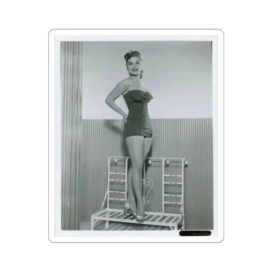 Debra Paget #766 (Vintage Female Icon) STICKER Vinyl Kiss-Cut Decal 4 Inch White - The Sticker Space