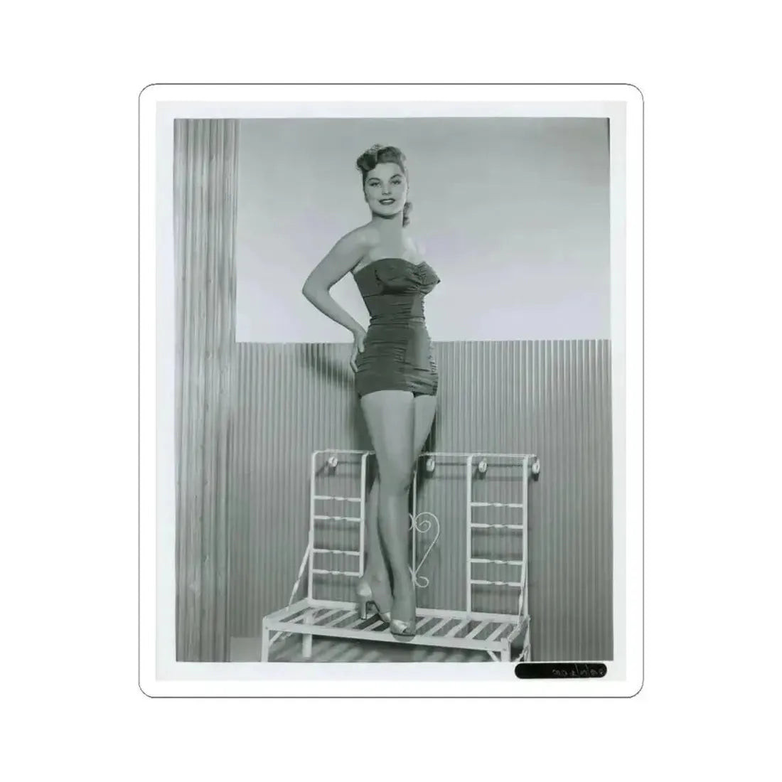 Debra Paget #766 (Vintage Female Icon) STICKER Vinyl Kiss-Cut Decal 6 Inch White - The Sticker Space