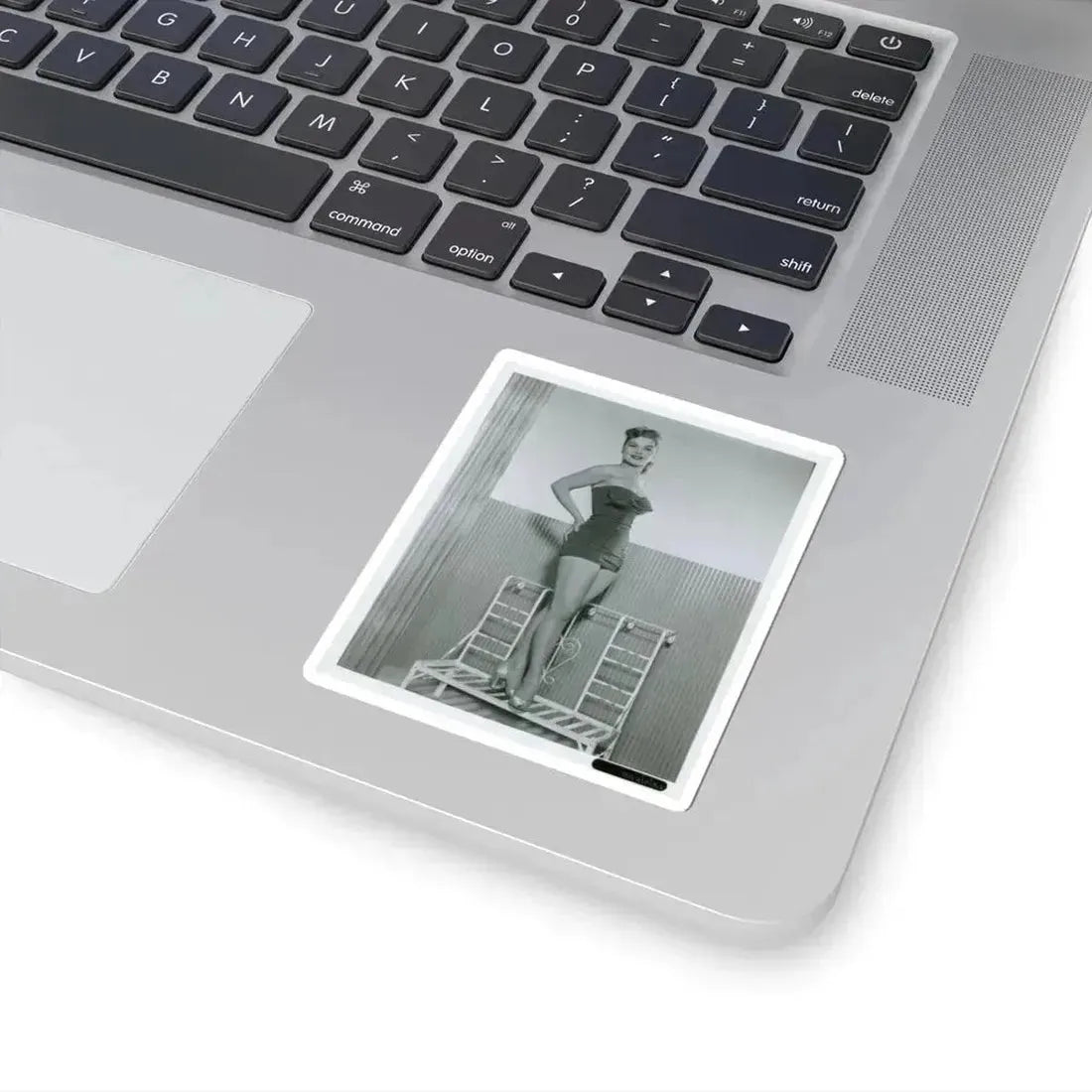 Debra Paget #766 (Vintage Female Icon) STICKER Vinyl Kiss-Cut Decal - The Sticker Space