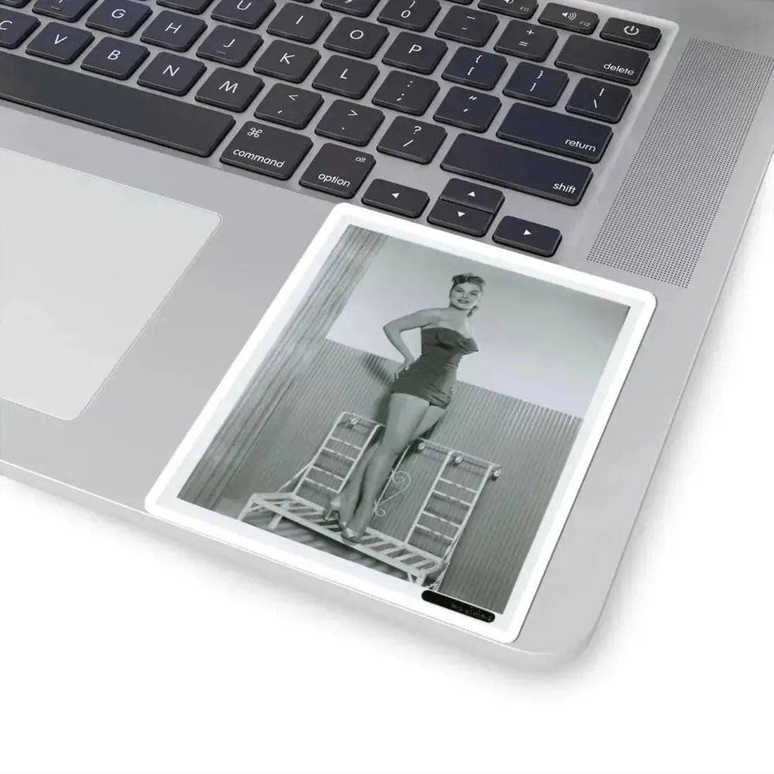 Debra Paget #766 (Vintage Female Icon) STICKER Vinyl Kiss-Cut Decal - The Sticker Space