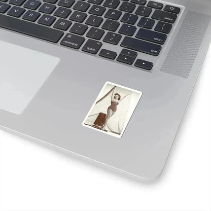 Debra Paget #78 (Vintage Female Icon) STICKER Vinyl Kiss-Cut Decal - The Sticker Space