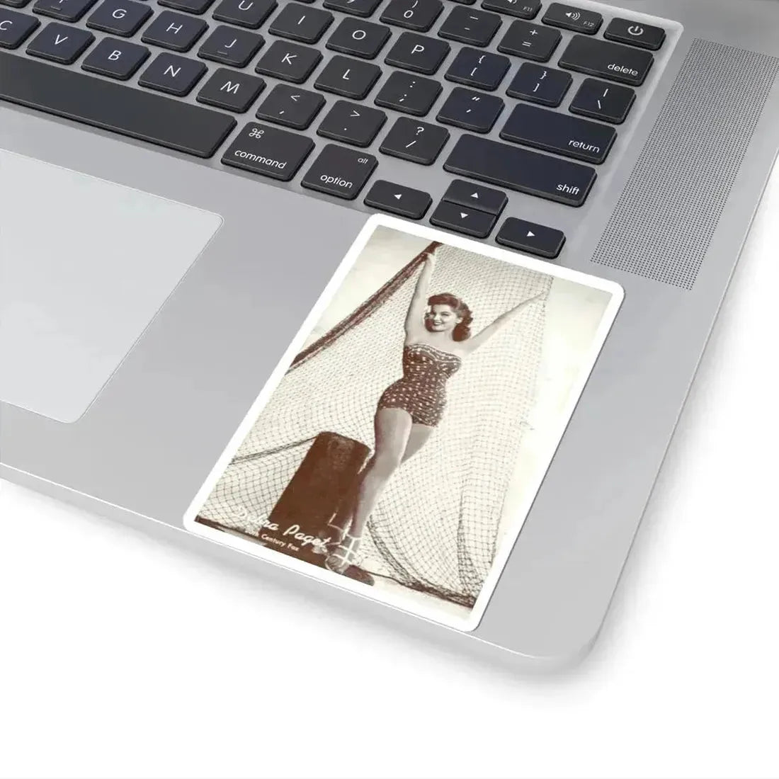 Debra Paget #78 (Vintage Female Icon) STICKER Vinyl Kiss-Cut Decal - The Sticker Space