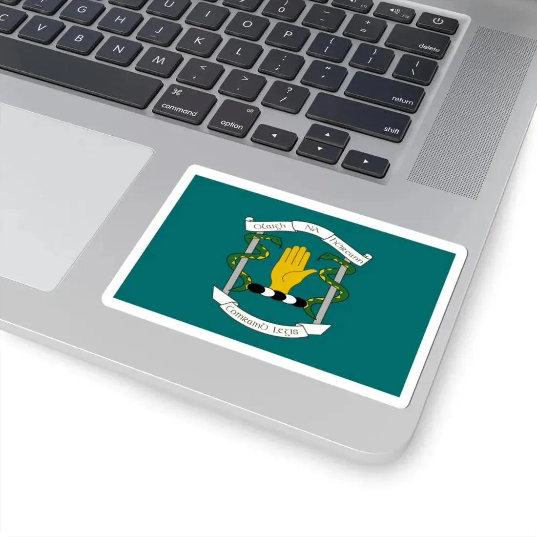 Defense Forces Medical Corps Flag Ireland (Ireland) STICKER Vinyl Kiss-Cut Decal - The Sticker Space