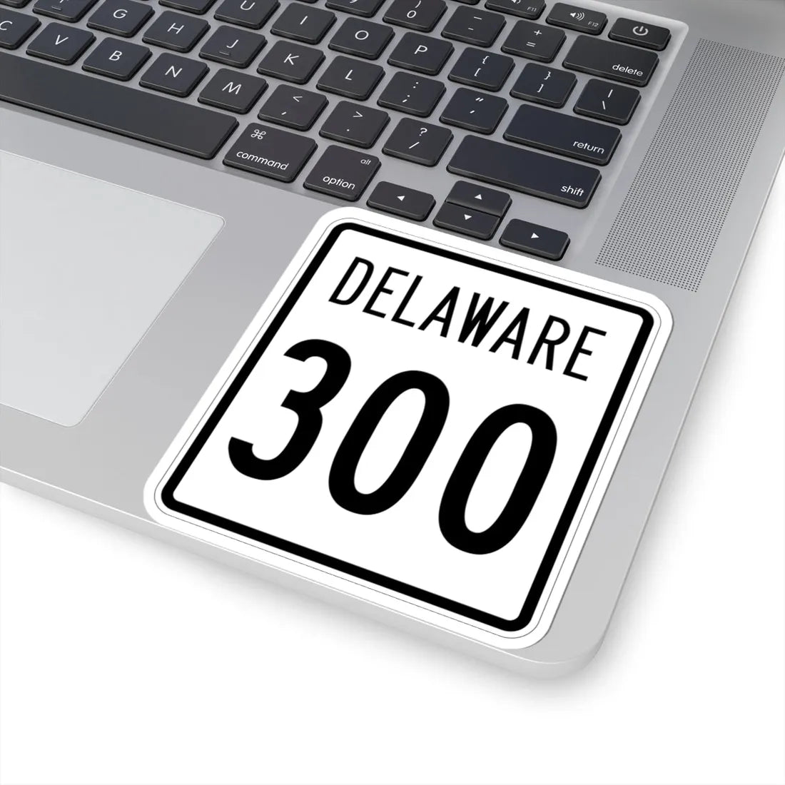 Delaware 300 1955 (Delaware) (Road Sign) STICKER Vinyl Kiss-Cut Decal - The Sticker Space