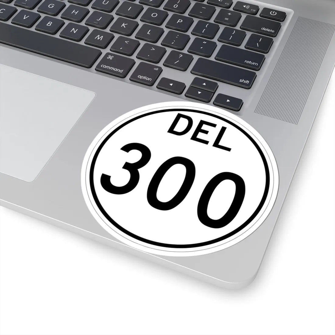 Delaware 300 1964 (Delaware) (Road Sign) STICKER Vinyl Kiss-Cut Decal - The Sticker Space