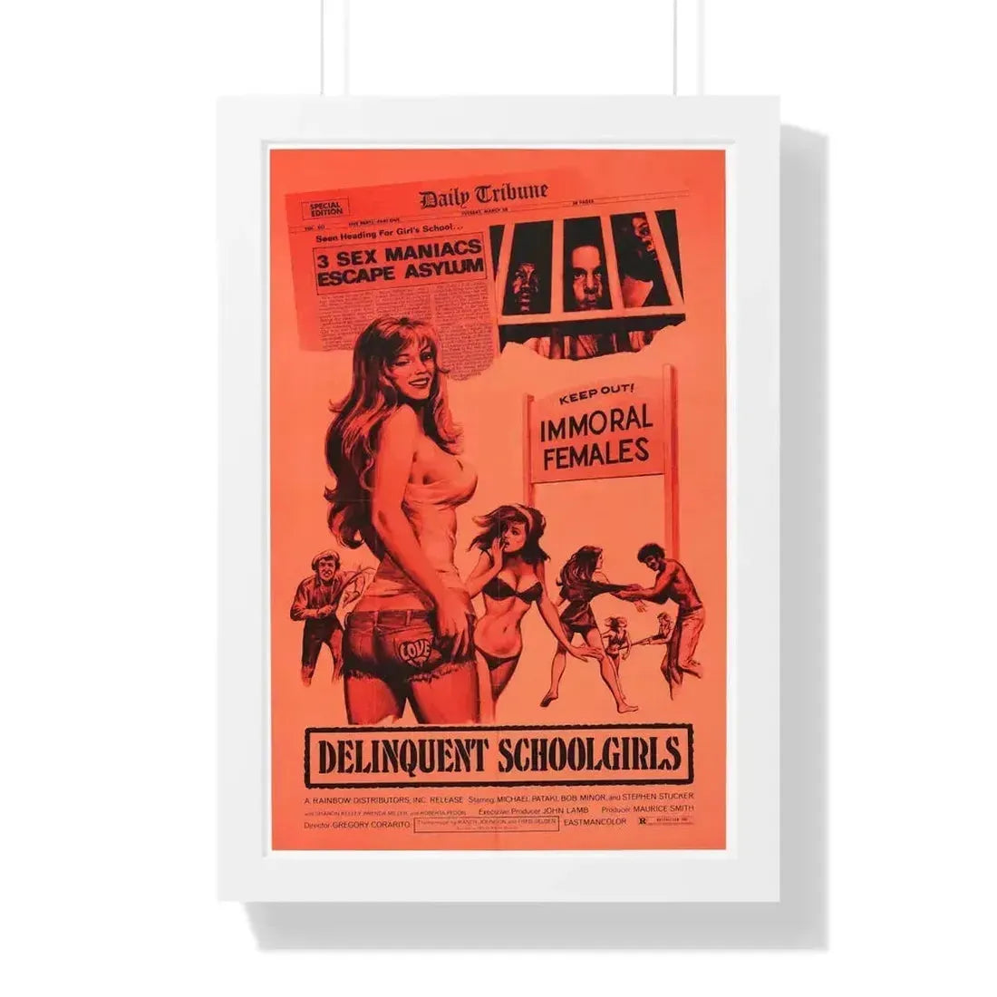 DELINQUENT SCHOOLGIRLS (CARNAL MADNESS) 1975 - Framed Movie Poster 16″ x 24″ White - The Sticker Space