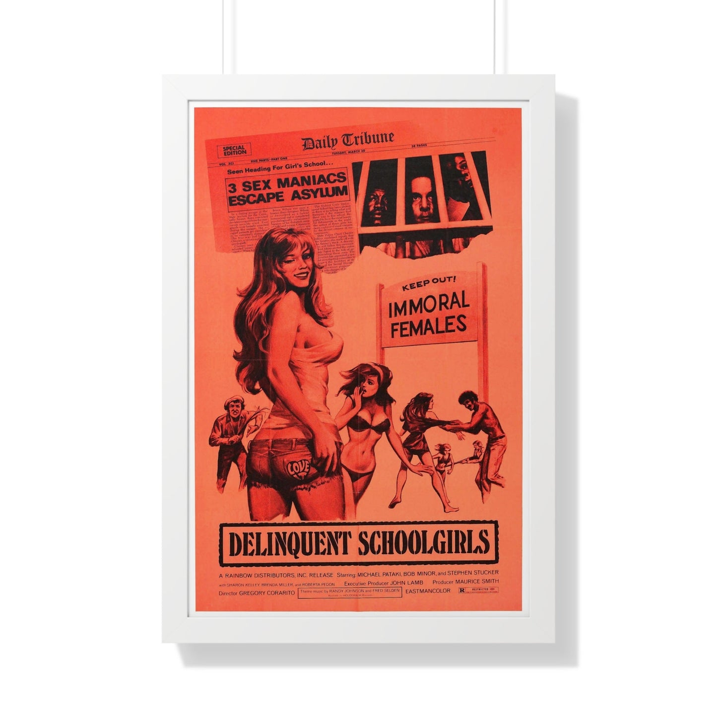 DELINQUENT SCHOOLGIRLS (CARNAL MADNESS) 1975 - Framed Movie Poster-20" x 30"-The Sticker Space