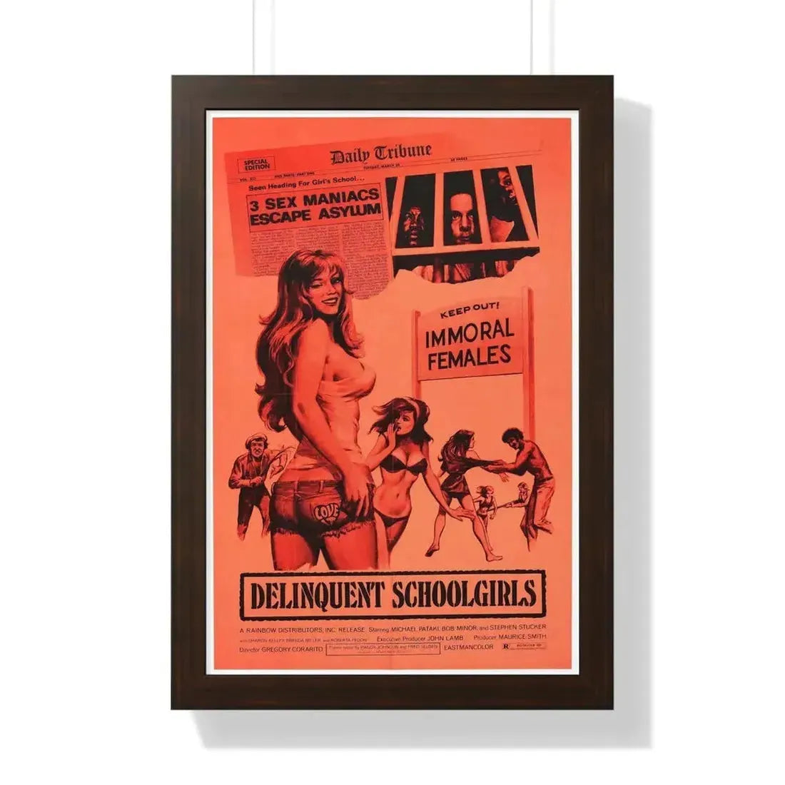 DELINQUENT SCHOOLGIRLS (CARNAL MADNESS) 1975 - Framed Movie Poster - The Sticker Space