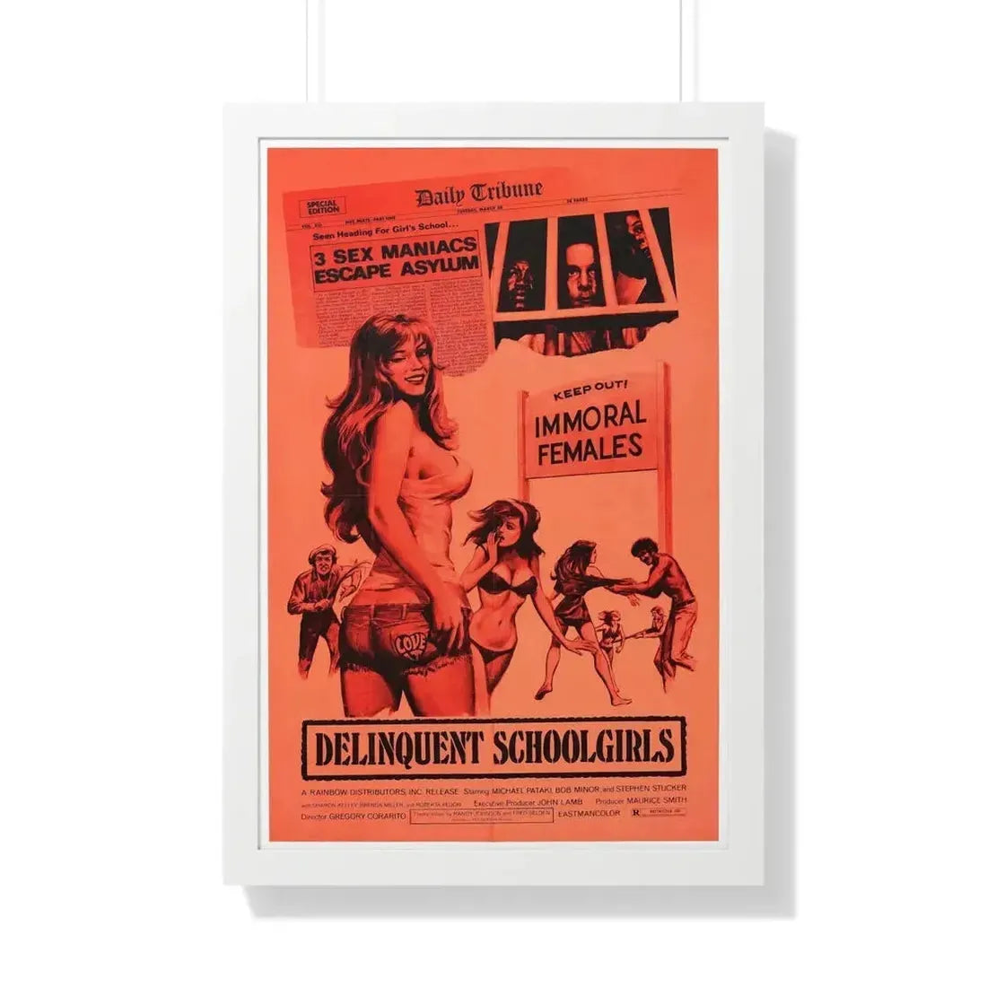 DELINQUENT SCHOOLGIRLS (CARNAL MADNESS) 1975 - Framed Movie Poster - The Sticker Space