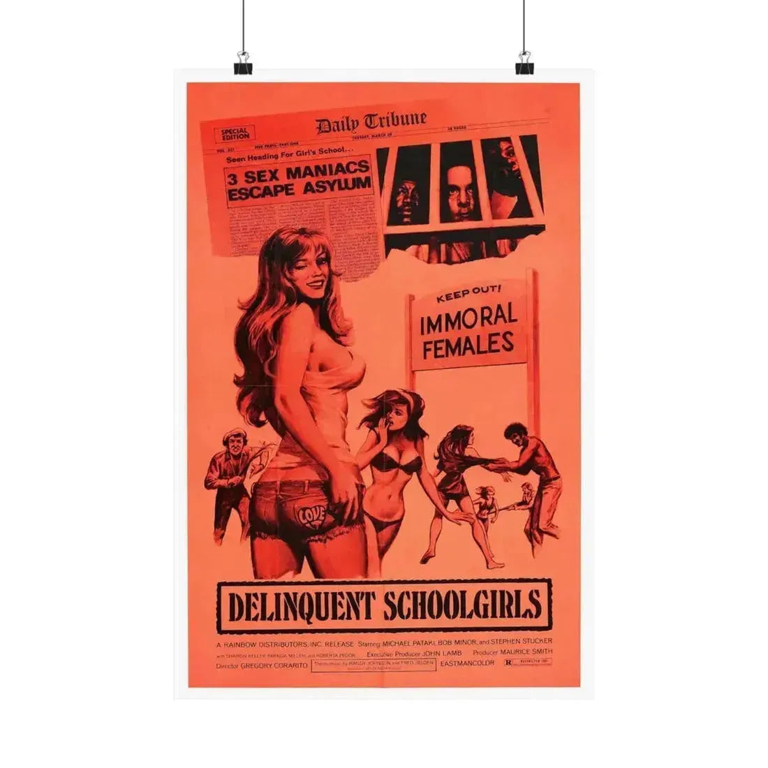 DELINQUENT SCHOOLGIRLS (CARNAL MADNESS) 1975 - Paper Movie Poster 16″ x 24″ Matte - The Sticker Space