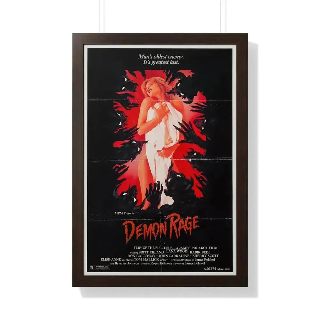 DEMON RAGE (FURY OF THE SUCCUBUS) 1982 - Framed Movie Poster - The Sticker Space