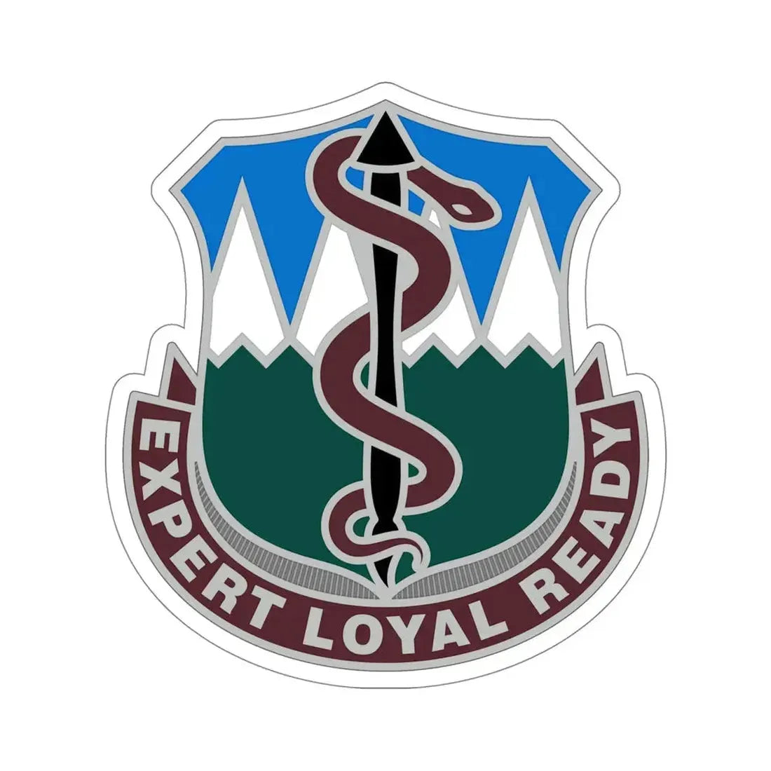 Dental Health Activity Fort Carson (U.S. Army) STICKER Vinyl Die-Cut Decal 5 Inch - The Sticker Space