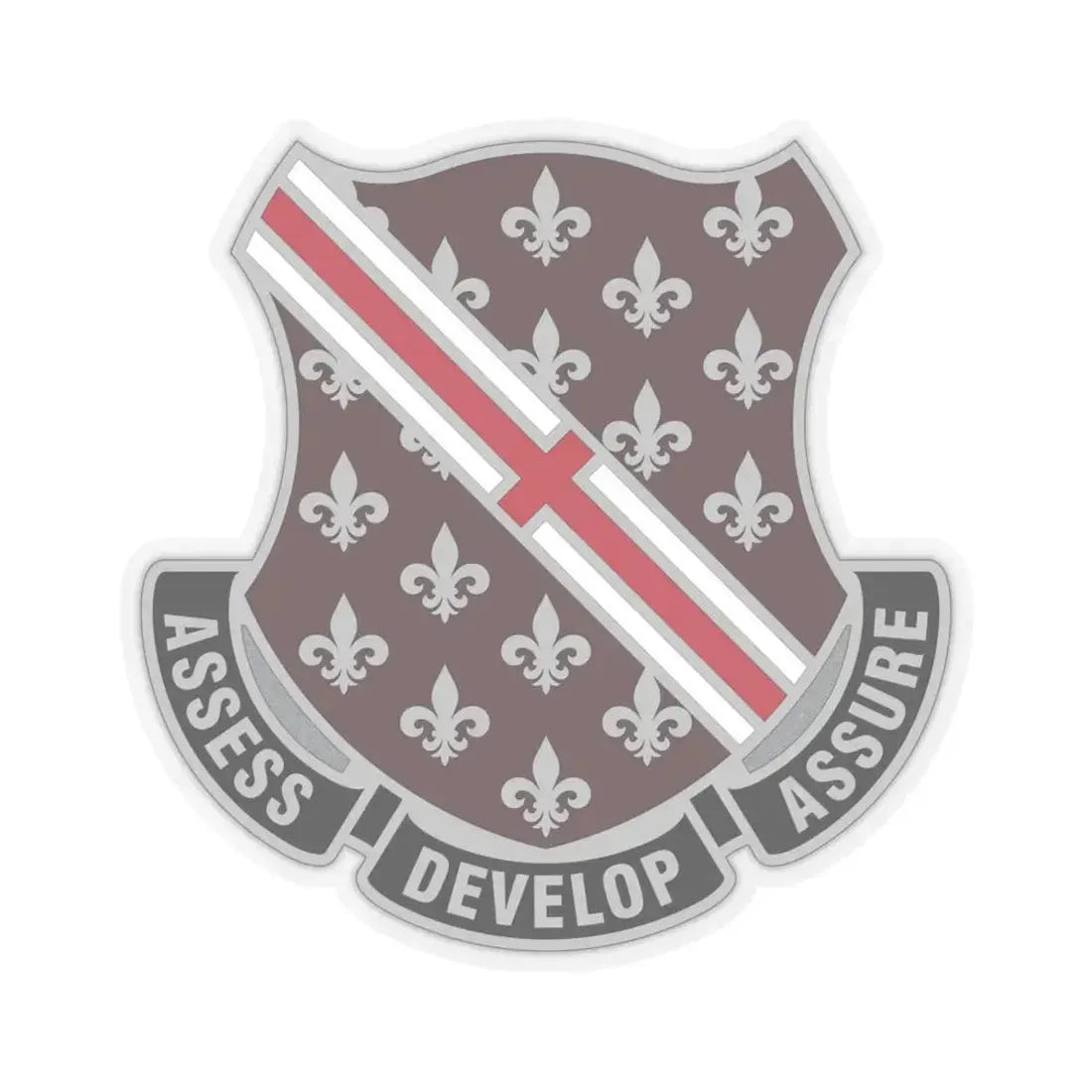 Dental Health Activity Fort Polk (U.S. Army) STICKER Vinyl Kiss-Cut Decal 6 Inch Transparent - The Sticker Space