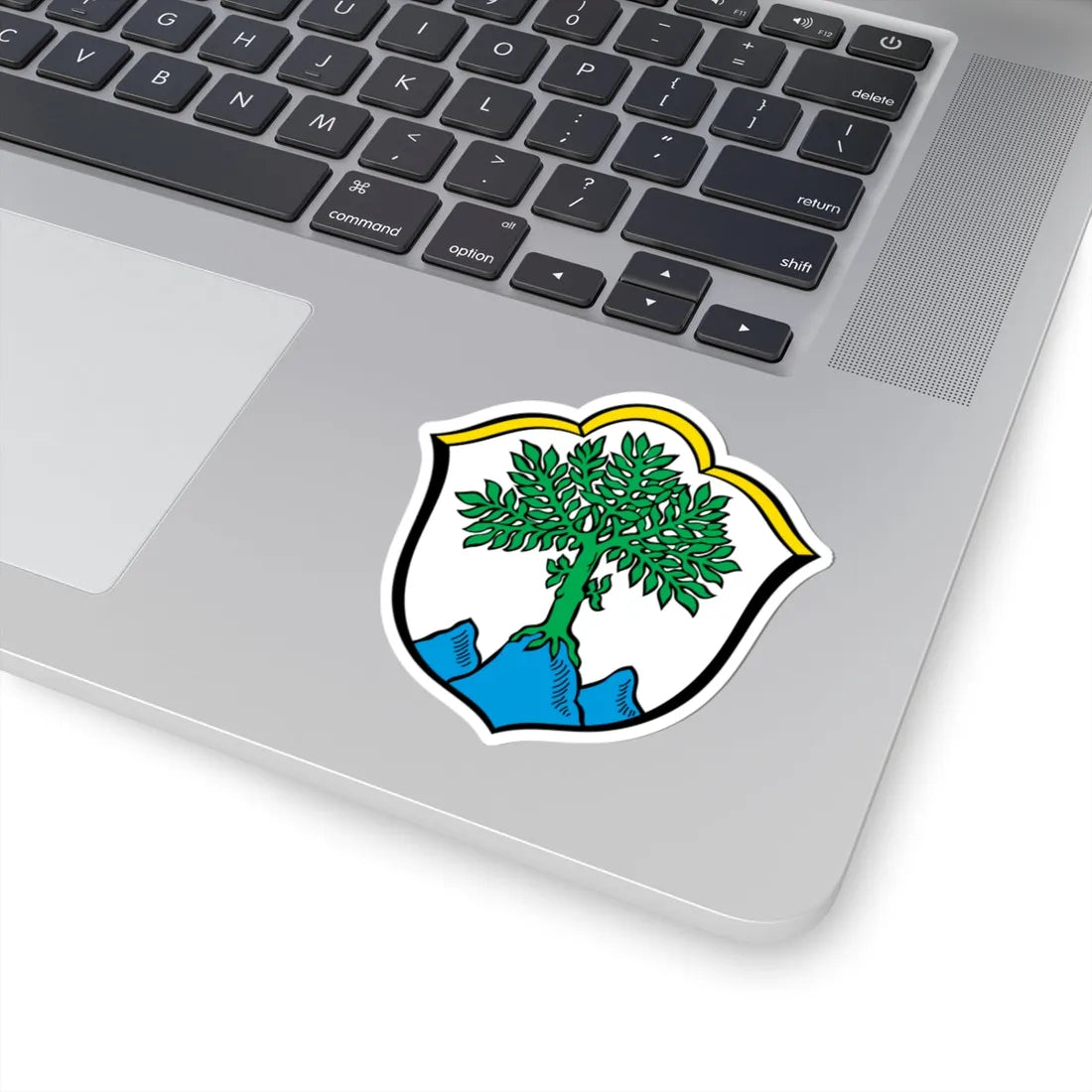 DEU Aschau im Chiemgau COA (Germany) (Coat of Arms) STICKER Vinyl Kiss-Cut Decal - The Sticker Space